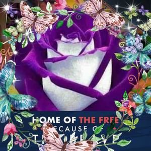 Meet your Posher, Vickie lynn